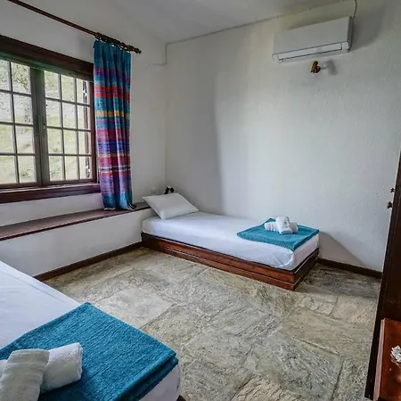 Sonia Rustic Mansion - 5bd 30 Sec Walk To